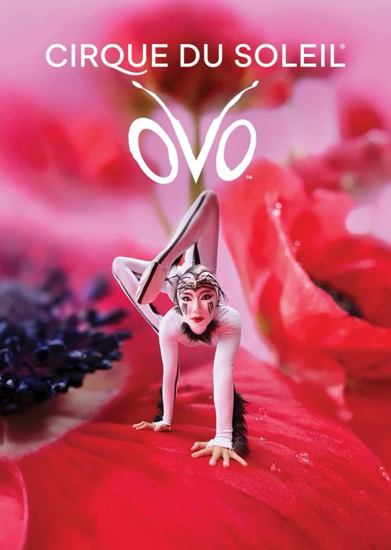 Cirque du Soleil – OVO