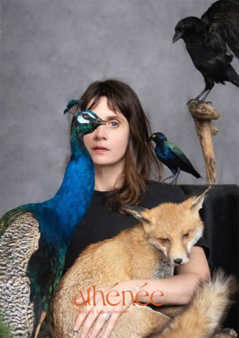The Animal Room